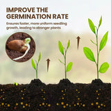 Plant and Flower Fertilizer