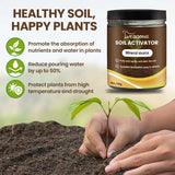 Plant and Flower Fertilizer
