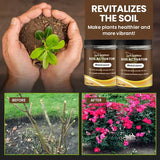 Plant and Flower Fertilizer
