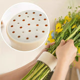 Spiral Flower Stem Holder