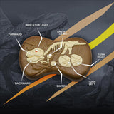 Kid Dinosaur Toy WITH Remote Control - beumoonshop