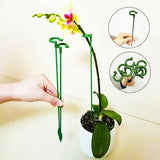 Plant Support Stake - beumoonshop
