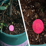 Slow release organic fertilizer in tablets - beumoonshop