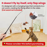 Chirpy Cat Toy