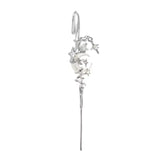 (1 + 1 Free) Moonlit Elegance Earrings