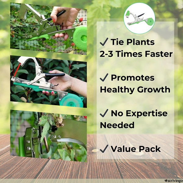 (PENDIENTE) GreenTie Pro Plant Assistant