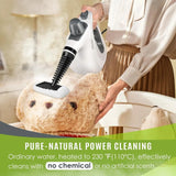 Power Steam Pro Cleaner
