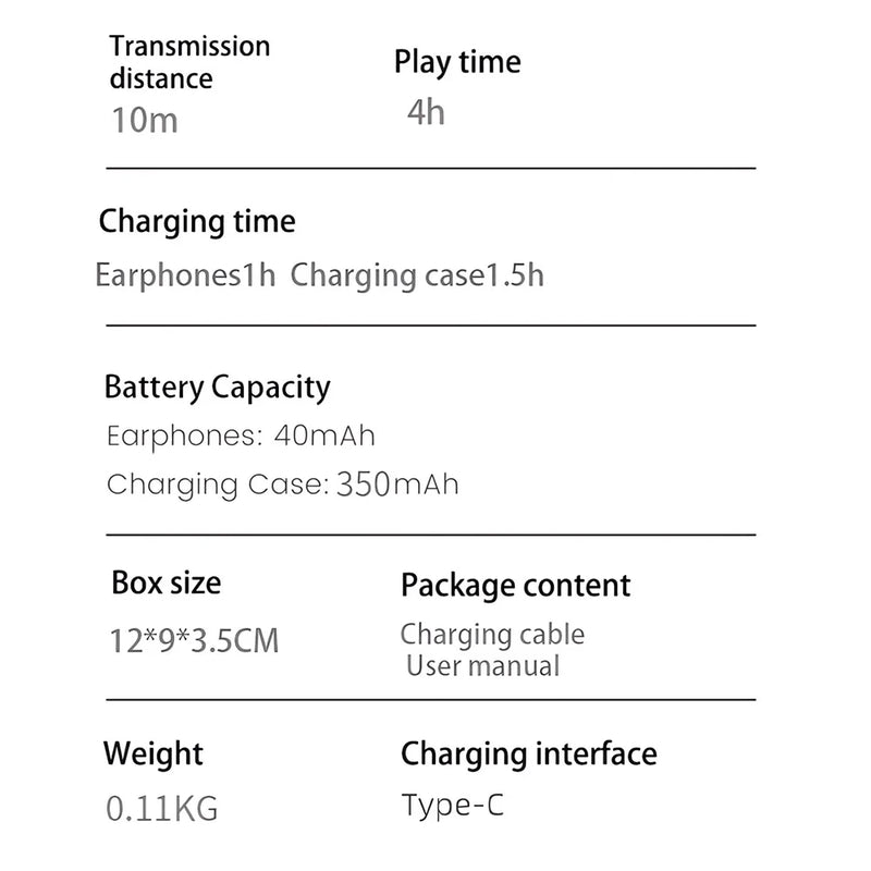 Smart Earbuds Translator