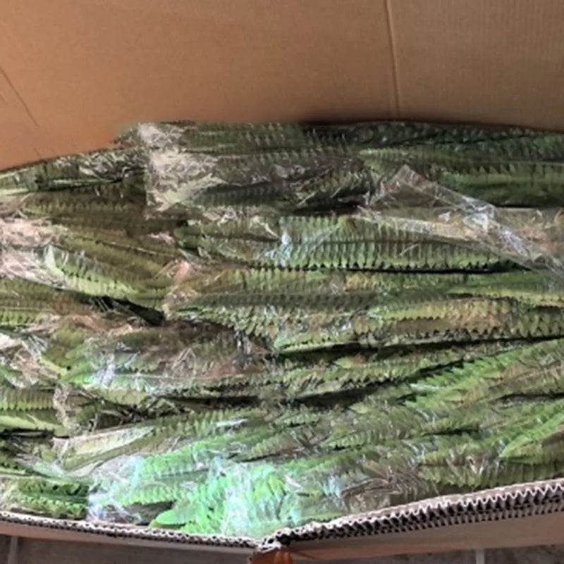 Lifelike Greenery Decor Fern