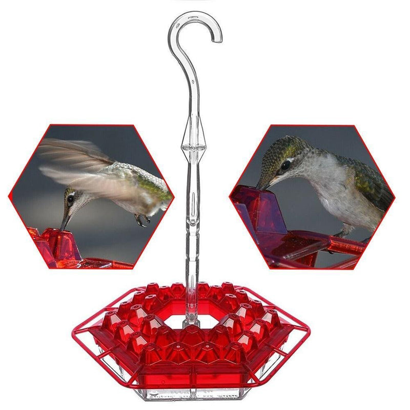 Hummingbird Feeder With Perch And Built-in Ant Moat - beumoonshop