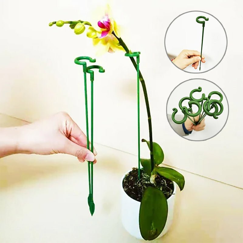 Plant Support Stake - beumoonshop