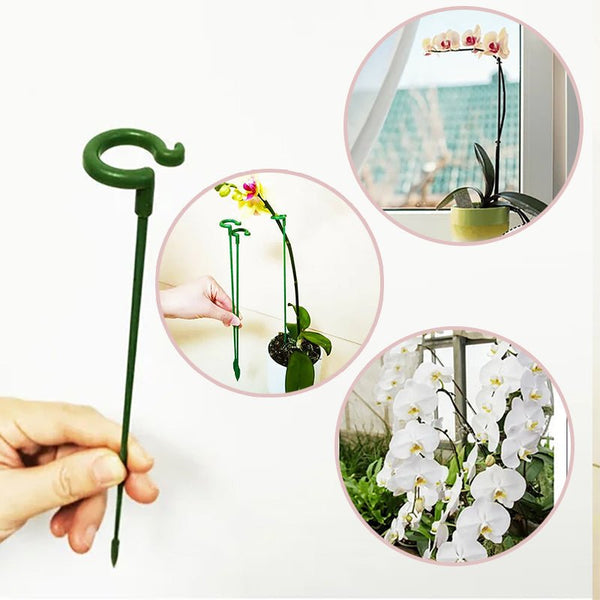 Plant Support Stake - beumoonshop