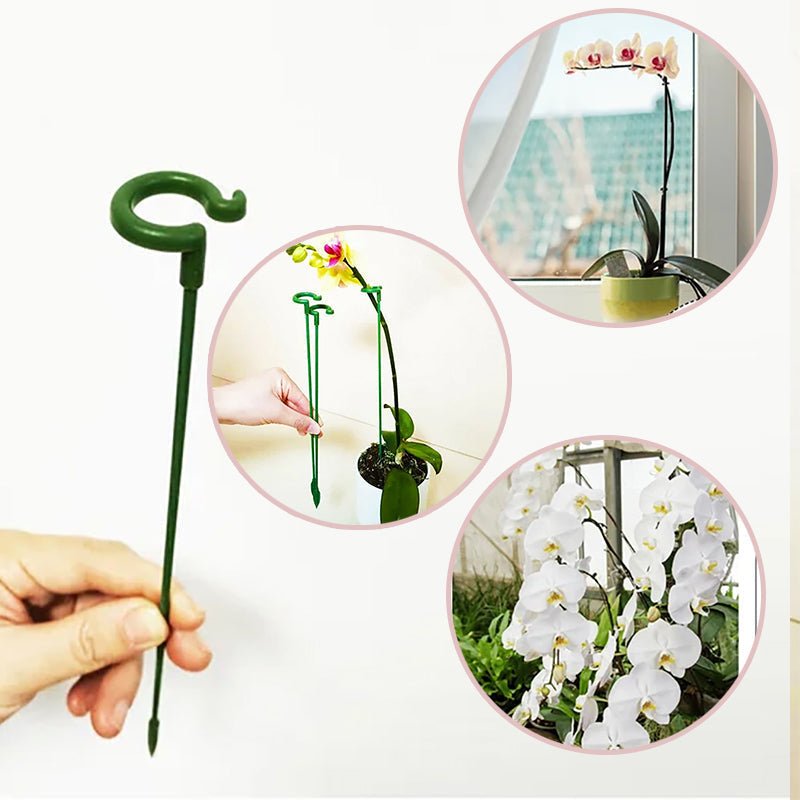 Plant Support Stake - beumoonshop