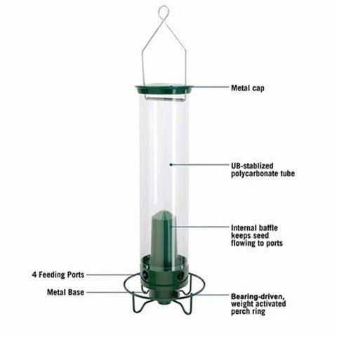 Squirrel-Proof Bird Feeder - beumoonshop