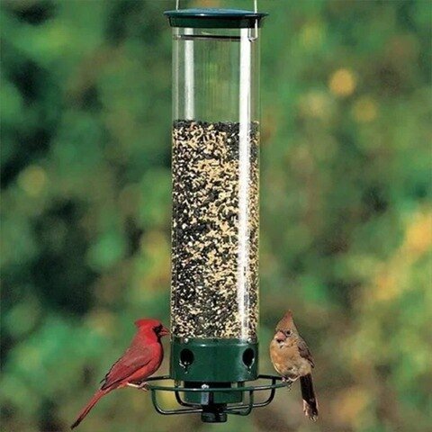 Squirrel-Proof Bird Feeder - beumoonshop